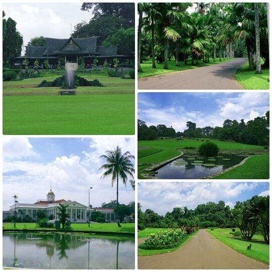 Kebun Raya Park in Bogor