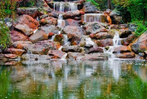 Eden Nature Park, Wasserfall