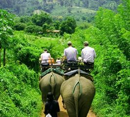 Elefantenreiten durch den Dschungel von Koh Lanta