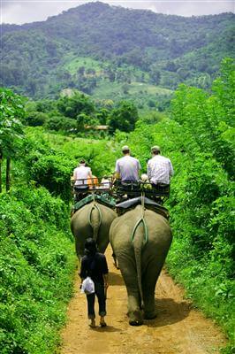 Elefantenreiten durch den Dschungel von Koh Lanta