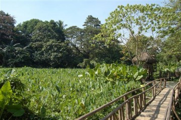 Quezon National Forest Park