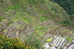 Reisterrassen von Banaue