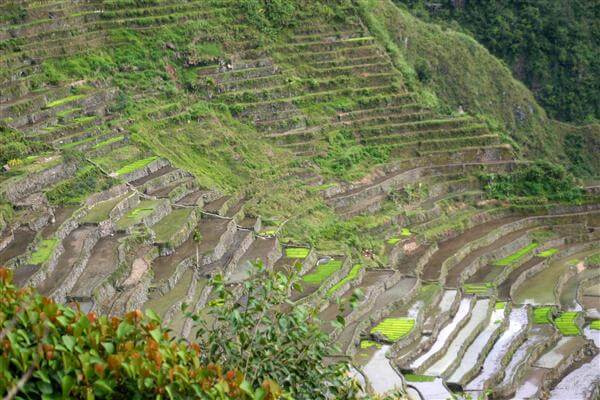 Die Reisterrassen von Banaue