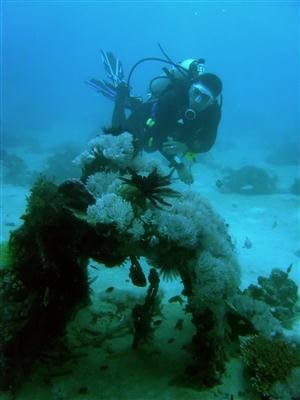 Taucher bei Puerto Galera