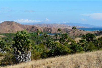 Komodo - Indonesien