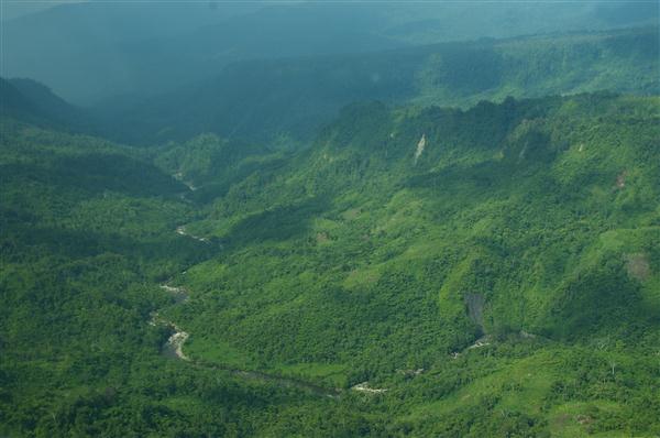 Regenwald - Indonesien