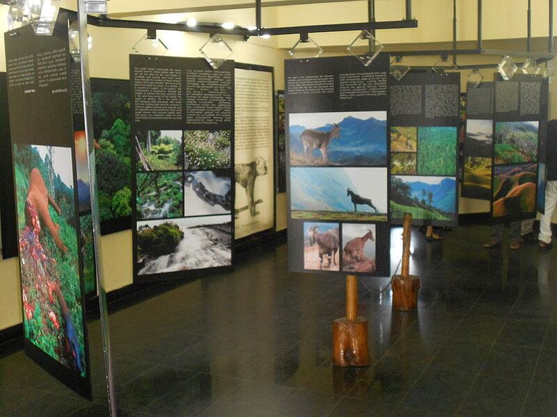 Das Eravikulam Museum