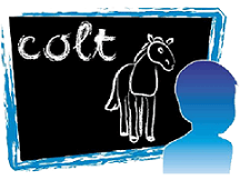 Colt e.V.