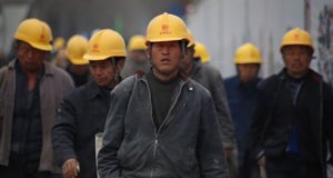 working population china