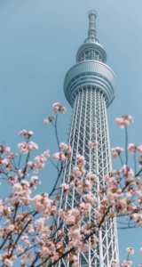 tokyo skyscraper