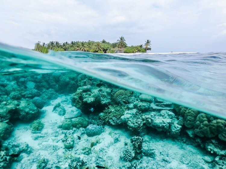 Tauchen diving auf gili air