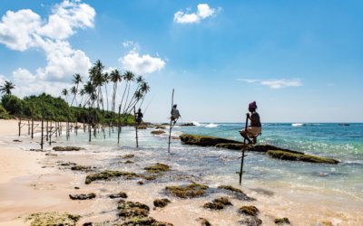 best things to do in sri lanka